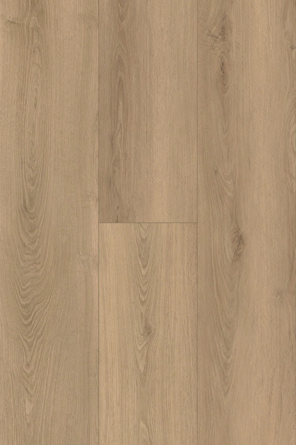 Amor Laminate Flooring 12mm