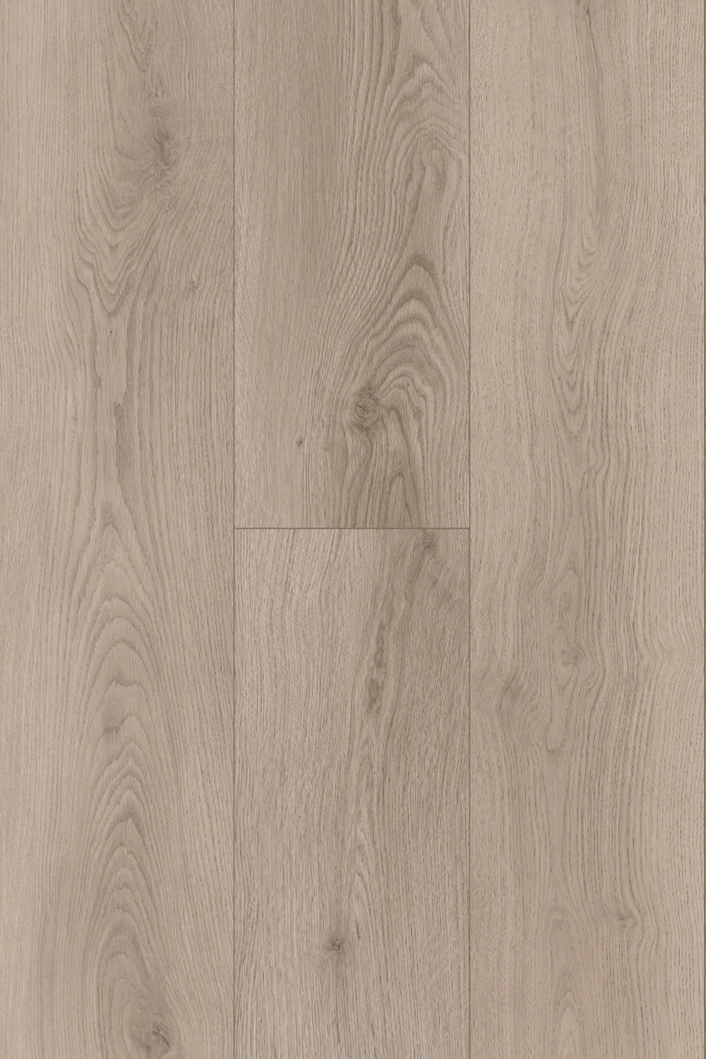 Amor Laminate Flooring 12mm