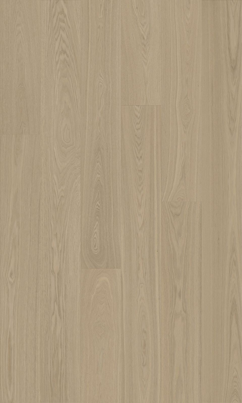 European Ash Engineered Timber 15/3mm