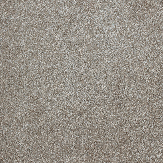 Sensation – Cashmere Touch Carpet Flooring