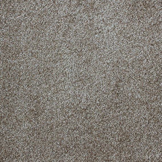 Sensation – Cashmere Touch Carpet Flooring