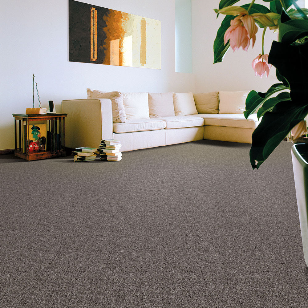 Access Carpet