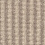 Acacia Hill Carpet Flooring