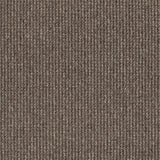 Acacia Hill Carpet Flooring