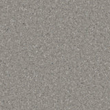Accolade Safe-R10 Vinyl Sheet Flooring