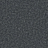 Accolade Foothold – Vinyl Sheet Flooring-R11