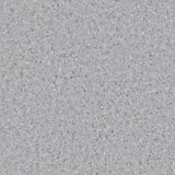 Accolade Foothold – Vinyl Sheet Flooring-R11