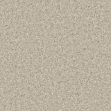 Accolade Foothold – Vinyl Sheet Flooring-R11