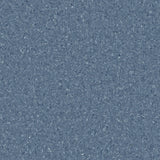 Accolade Foothold – Vinyl Sheet Flooring-R11