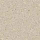 Accolade Foothold – Vinyl Sheet Flooring-R11