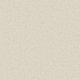 Accolade Foothold – Vinyl Sheet Flooring-R11