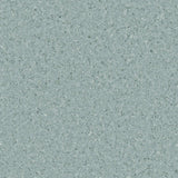 Accolade Foothold – Vinyl Sheet Flooring-R11