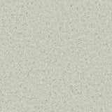 Accolade Foothold – Vinyl Sheet Flooring-R11