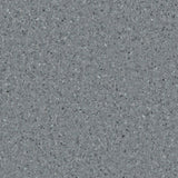 Accolade Foothold – Vinyl Sheet Flooring-R11