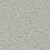 Accolade Foothold – Vinyl Sheet Flooring-R11