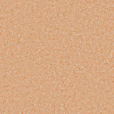 Accolade Foothold – Vinyl Sheet Flooring-R11