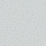Accolade Foothold – Vinyl Sheet Flooring-R11