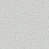Accolade Foothold – Vinyl Sheet Flooring-R11