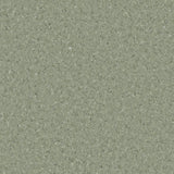 Accolade Foothold – Vinyl Sheet Flooring-R11