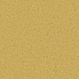 Accolade Plus® Vinyl Sheet Flooring-R10