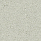 Accolade Plus® Vinyl Sheet Flooring-R10