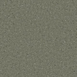Accolade Plus® Vinyl Sheet Flooring-R10