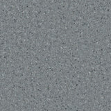 Accolade Plus® Vinyl Sheet Flooring-R10