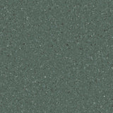 Accolade Plus® Vinyl Sheet Flooring-R10