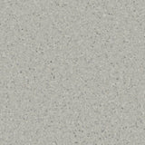 Accolade Plus® Vinyl Sheet Flooring-R10