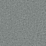 Accolade Plus® Vinyl Sheet Flooring-R10