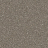 Accolade Plus® Vinyl Sheet Flooring-R10