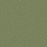 Accolade Plus® Vinyl Sheet Flooring-R10