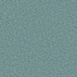 Accolade Plus® Vinyl Sheet Flooring-R10