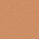 Accolade Plus® Vinyl Sheet Flooring-R10