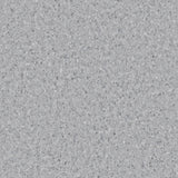 Accolade Plus® Vinyl Sheet Flooring-R10
