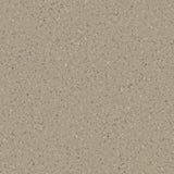 Accolade Plus® Vinyl Sheet Flooring-R10