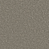 Accolade Plus® Vinyl Sheet Flooring-R10