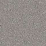 Accolade Plus® Vinyl Sheet Flooring-R10