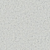 Accolade Plus® Vinyl Sheet Flooring-R10