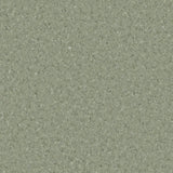 Accolade Plus® Vinyl Sheet Flooring-R10