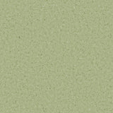 Accolade Plus® Vinyl Sheet Flooring-R10
