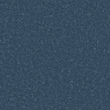 Accolade Plus® Vinyl Sheet Flooring-R10