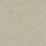 Accolade Plus® Vinyl Sheet Flooring-R10