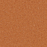Accolade Plus® Vinyl Sheet Flooring-R10