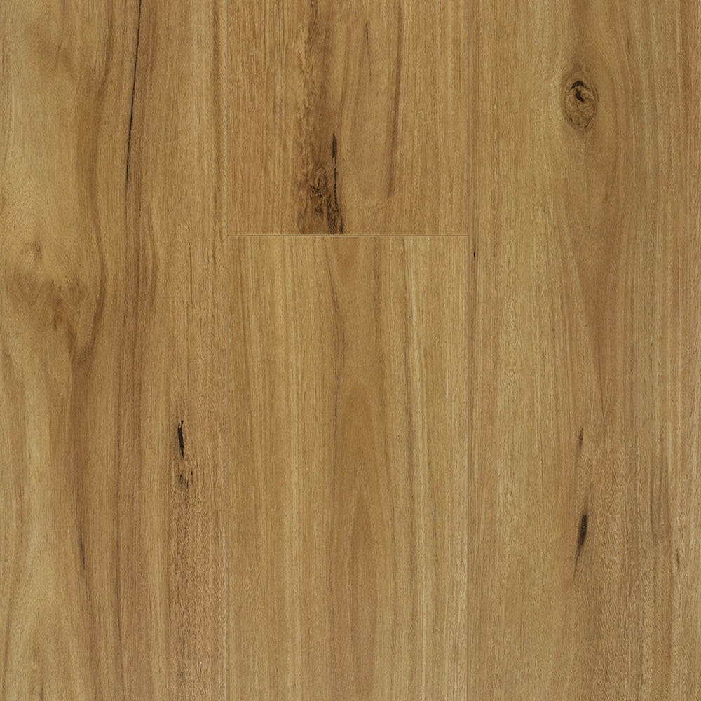 Adorn Laminates Classic Flooring – 12mm