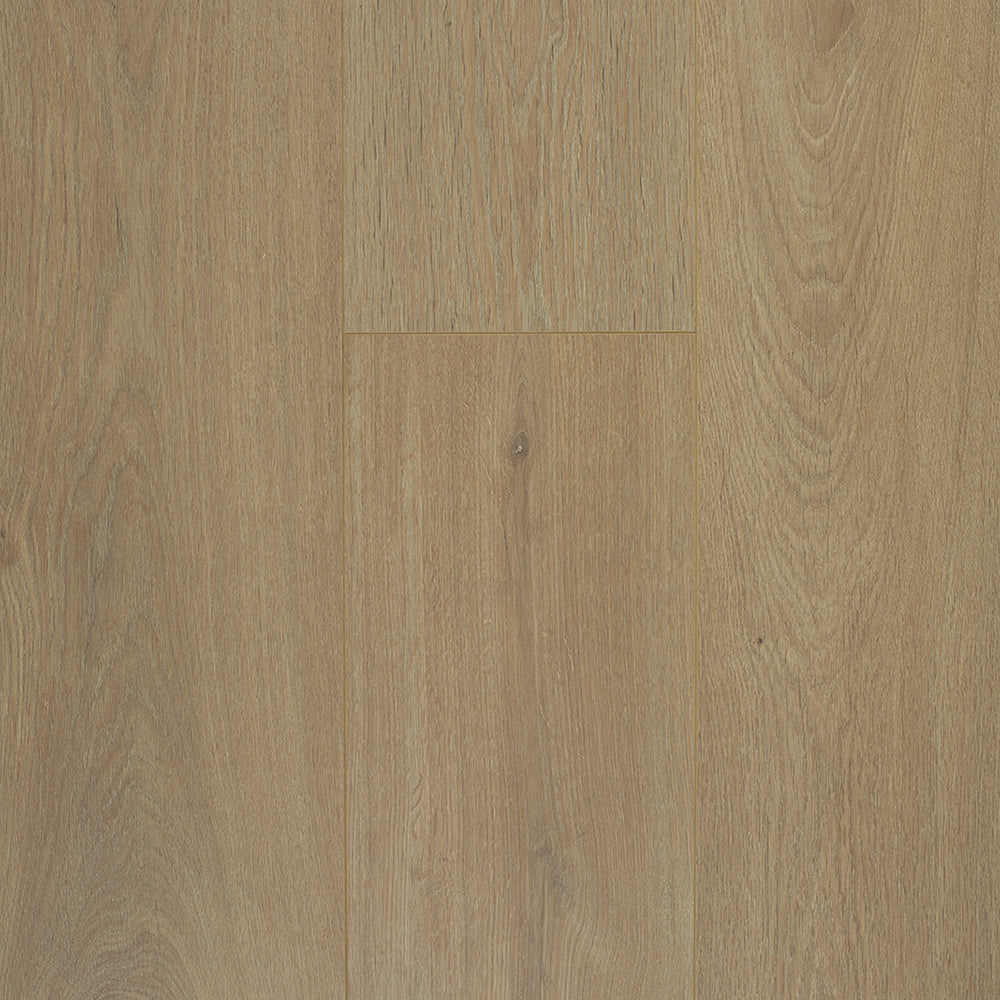 Adorn Laminates Classic Flooring – 12mm