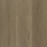 Adorn Laminates Classic Flooring – 12mm