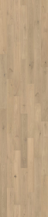 AquaFlex Laminate Flooring 12mm
