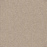Avenue Nylon Carpet Flooring