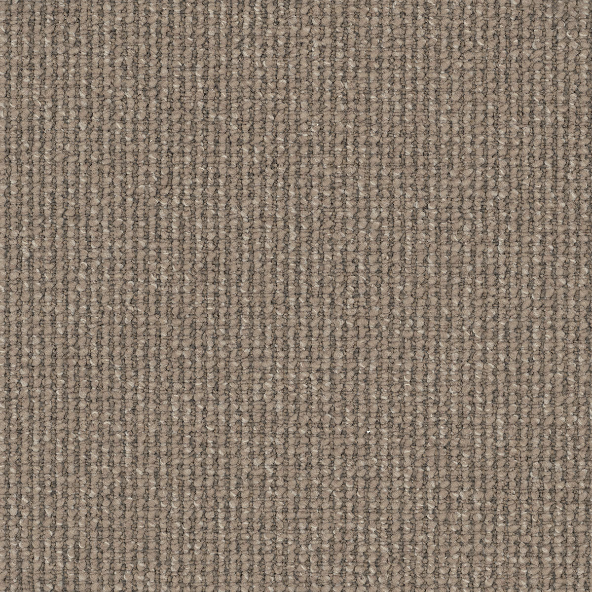 Avenue Nylon Carpet Flooring